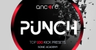 PUNCH Presets For Kick2 